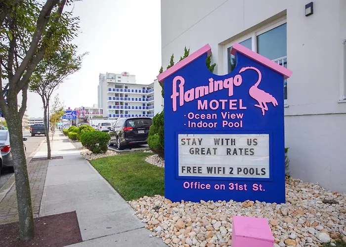Flamingo Motel